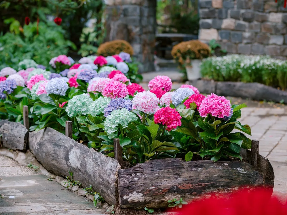 Landscape Design