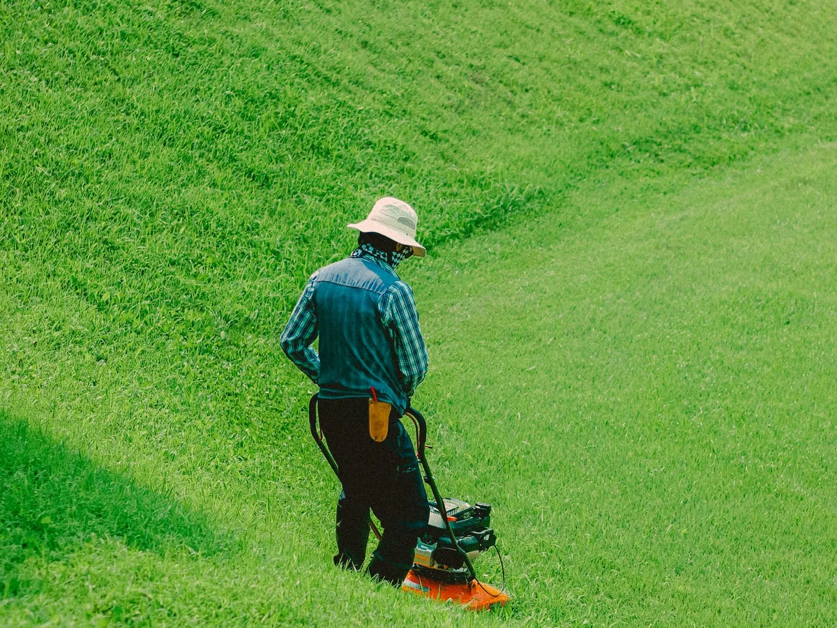 Lawn Care