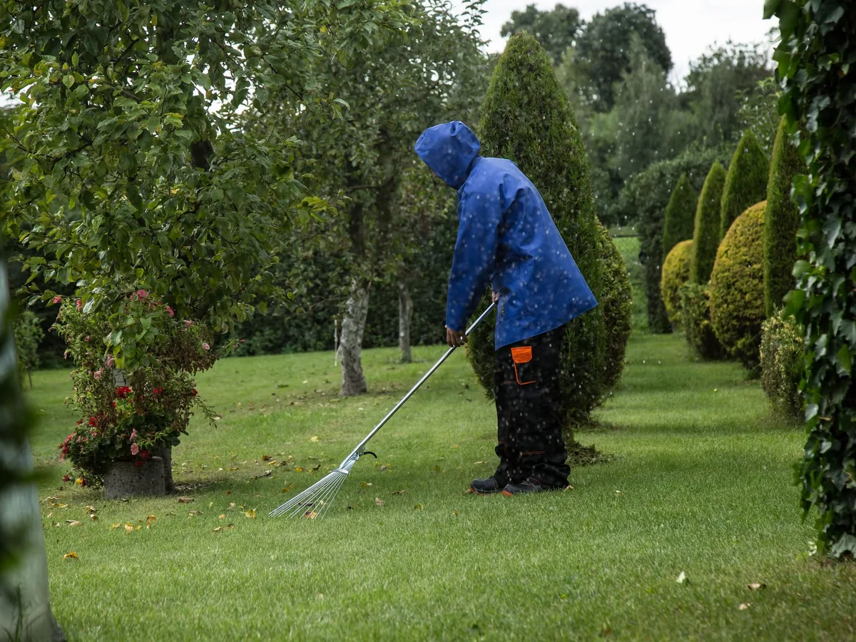 Property Maintenance