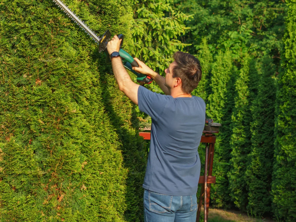 Tree & Shrub Care